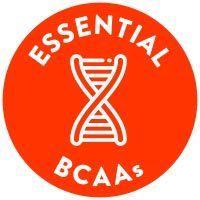Essential BCAAs - WOW HYDRATE